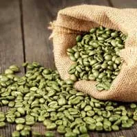 Green Coffee Bean Cognitive Support Ingredient