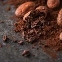 Theobromine Cognitive Wellness Ingredient