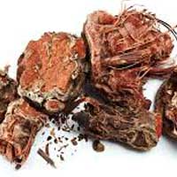 Rhodiola Root Cognitive Support Ingredient